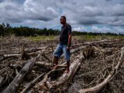 Yayasan Pusaka Bentala Rakyat Kecam PSN Merauke: Praktik Serakahnomics yang Abaikan HAM dan Lingkungan