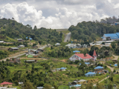 Intan Jaya Dalam Kobaran Api: Krisis Kemanusiaan Papua Memburuk, Seruan Mendesak untuk Jeda Kemanusiaan dan Dialog Inklusif