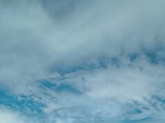 Di Balik Rekomendasi MRP, Siapa yang Mengatur Arah Freeport?